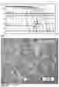 Fig. 05 - Crankshaft and method of manufacture