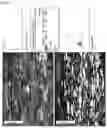 Fig. 06 - Soft high-silicon steel sheet and manufacturing method thereof