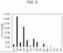 Fig. 07 - Continuous solvent extraction process for generation of high grade rare earth oxides from leachates generated from coal sources