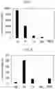 Fig. 08 - Continuous solvent extraction process for generation of high grade rare earth oxides from leachates generated from coal sources