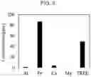 Fig. 09 - Continuous solvent extraction process for generation of high grade rare earth oxides from leachates generated from coal sources