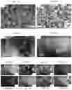 Fig. 03 - Superalloy target