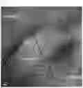 Fig. 07 - Superalloy target