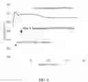 Fig. 09 - Highly processable single crystal nickel alloys