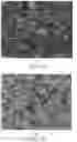 Fig. 06 - Sputter trap having a thin high purity coating layer and method of making the same