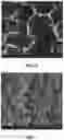 Fig. 08 - Method and system for growth of graphene nanostripes by plasma enhanced chemical vapor deposition