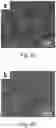 Fig. 03 - Boron doped diamond electrode and preparation method and applications thereof