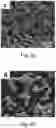 Fig. 04 - Boron doped diamond electrode and preparation method and applications thereof