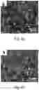 Fig. 06 - Boron doped diamond electrode and preparation method and applications thereof