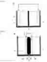 Fig. 02 - SOLID POLYMER MEMBRANE ELECTRODE