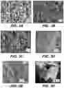 Fig. 04 - ELECTROCATALYST FOR HYDROGEN EVOLUTION REACTION