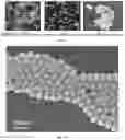 Fig. 02 - Synthesis of core-shell nanoparticles and applications of said nanoparticles for surface enhanced Raman scattering