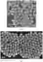 Fig. 03 - Synthesis of core-shell nanoparticles and applications of said nanoparticles for surface enhanced Raman scattering