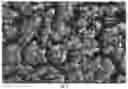 Fig. 05 - Synthesis of core-shell nanoparticles and applications of said nanoparticles for surface enhanced Raman scattering