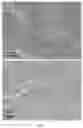 Fig. 06 - Synthesis of core-shell nanoparticles and applications of said nanoparticles for surface enhanced Raman scattering