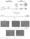 Fig. 07 - Synthesis of core-shell nanoparticles and applications of said nanoparticles for surface enhanced Raman scattering