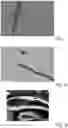 Fig. 05 - METHOD AND APPARATUS FOR MANUFACTURING A STAPLE FIBER BASED ON NATURAL PROTEIN FIBER, A RAW WOOL BASED ON THE STAPLE FIBER, A FIBROUS YARN MADE OF THE STAPLE FIBER, A NON-WOVEN MATERIAL MADE OF THE STAPLE FIBER AND AN ITEM COMPRISING THE STAPLE FIBER.