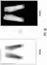 Fig. 16 - Laser finishing design tool