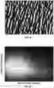 Fig. 11 - Sheet characterization of crepe paper