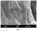 Fig. 02 - Treated fibers and fibrous structures comprising the same