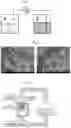 Fig. 02 - Composition which contains composite fibers composed of inorganic particles and fibers