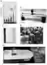 Fig. 10 - SILANE BASED SURFACES WITH EXTREME WETTABILITIES
