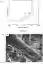 Fig. 20 - SILANE BASED SURFACES WITH EXTREME WETTABILITIES