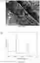 Fig. 22 - SILANE BASED SURFACES WITH EXTREME WETTABILITIES