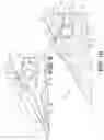 Fig. 08 - Implement ground engaging tip assembly having tip with tapered retention channel
