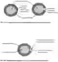 Fig. 06 - Method of Assuring Dissolution of Degradable Tools