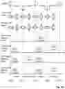Fig. 12 - Four-stroke internal combustion engine thereto related vehicle and method