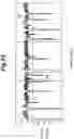 Fig. 11 - Member having sliding contact surface