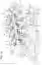 Fig. 16 - Engine device