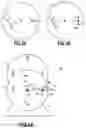 Fig. 04 - GRAVITY ROTATION DEVICE