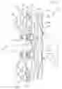 Fig. 23 - Hydrokinetic torque-coupling device having lock-up clutch with dual piston assembly
