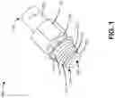 Fig. 02 - HYDRAULIC COUPLING DEVICES AND ASSEMBLIES