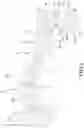 Fig. 03 - Adjustable extension arm device