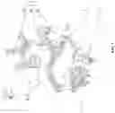 Fig. 02 - Gimbal and gimbal control method