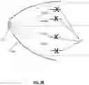 Fig. 07 - Integrated louvres for beam control in an LED lighting device