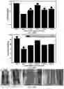 Fig. 14 - Additive manufacturing processes and additively manufactured products