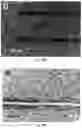 Fig. 24 - Additive manufacturing processes and additively manufactured products