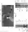 Fig. 04 - BLOWGUN HAVING TETHERED PROJECTILES
