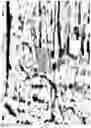 Fig. 09 - Compact dynamic head up display