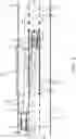 Fig. 04 - POSITIONING SYSTEM