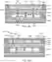 Fig. 34 - Spectrometry system with visible aiming beam