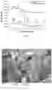 Fig. 05 - Highly sensitive reduced graphene oxide-nickel composite based cryogenic temperature sensor