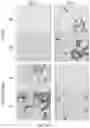 Fig. 10 - Representative diagnostics