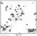 Fig. 21 - Representative diagnostics