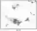 Fig. 28 - Representative diagnostics