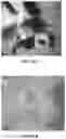 Fig. 40 - Representative diagnostics